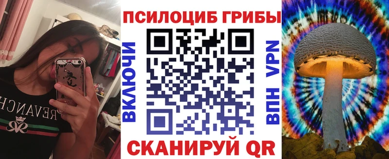Галлюциногенные грибы Psilocybine cubensis Бокситогорск