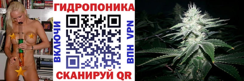 Бошки Шишки Bruce Banner  даркнет наркотические препараты  Бокситогорск 
